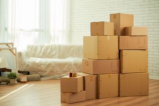 Flexible Use Cases option for Basement and Garage Cleaning